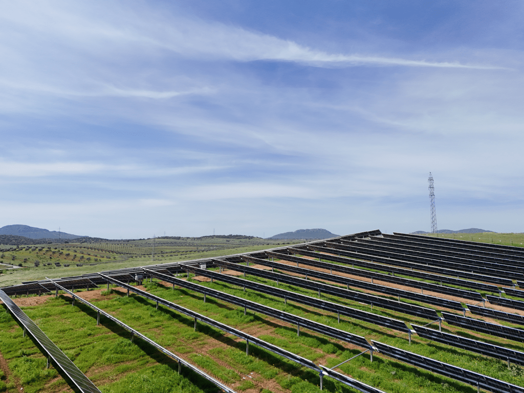 agrivoltaics solar steel